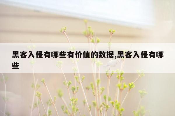 黑客入侵有哪些有价值的数据,黑客入侵有哪些