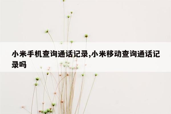 小米手机查询通话记录,小米移动查询通话记录吗