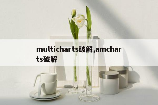 multicharts破解,amcharts破解