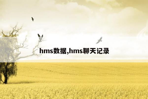 hms数据,hms聊天记录