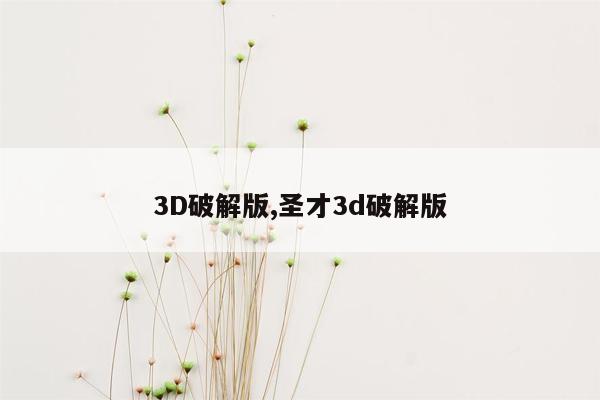 3D破解版,圣才3d破解版