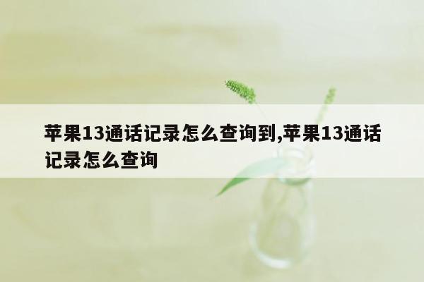 苹果13通话记录怎么查询到,苹果13通话记录怎么查询