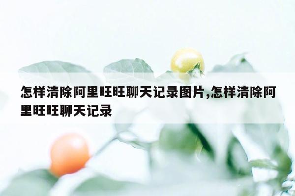 怎样清除阿里旺旺聊天记录图片,怎样清除阿里旺旺聊天记录