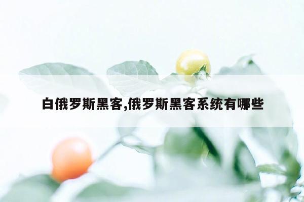 白俄罗斯黑客,俄罗斯黑客系统有哪些