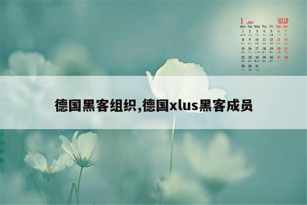 德国黑客组织,德国xlus黑客成员