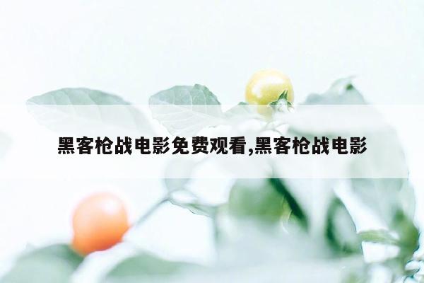 黑客枪战电影免费观看,黑客枪战电影