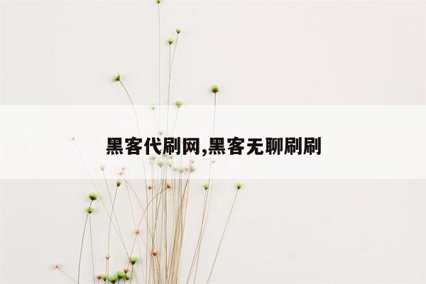 黑客代刷网,黑客无聊刷刷