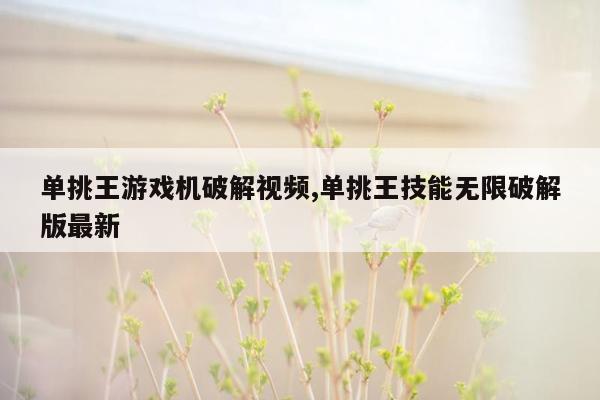 单挑王游戏机破解视频,单挑王技能无限破解版最新