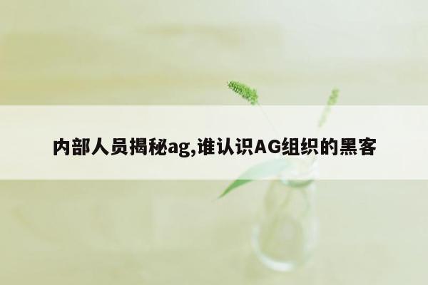 内部人员揭秘ag,谁认识AG组织的黑客