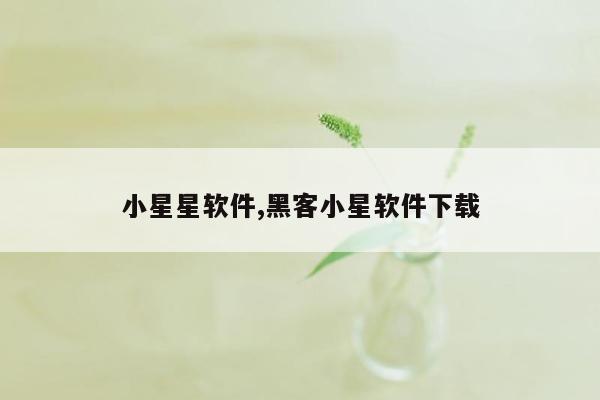 小星星软件,黑客小星软件下载