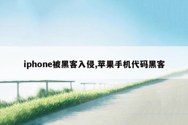 iphone被黑客入侵,苹果手机代码黑客