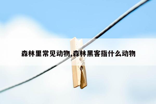 森林里常见动物,森林黑客指什么动物