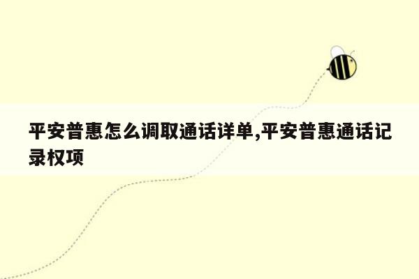 平安普惠怎么调取通话详单,平安普惠通话记录权项