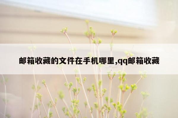 邮箱收藏的文件在手机哪里,qq邮箱收藏