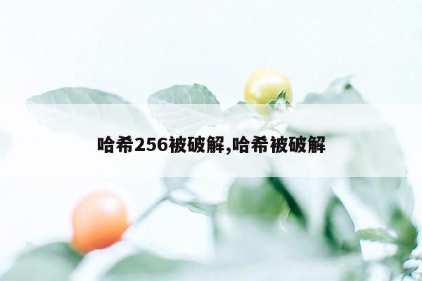 哈希256被破解,哈希被破解