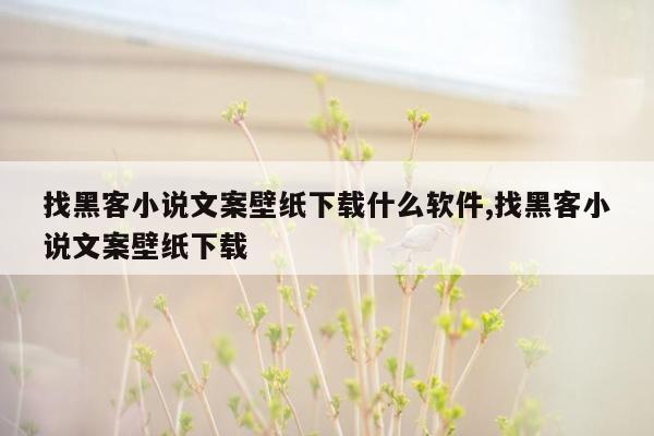 找黑客小说文案壁纸下载什么软件,找黑客小说文案壁纸下载