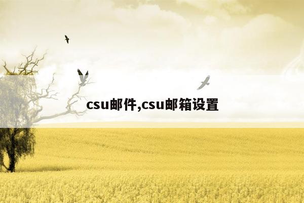 csu邮件,csu邮箱设置