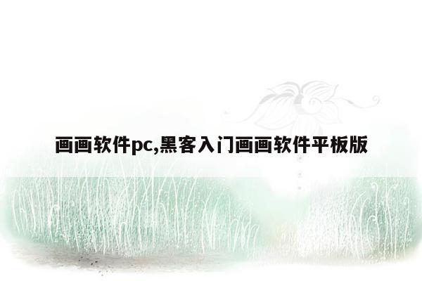 画画软件pc,黑客入门画画软件平板版