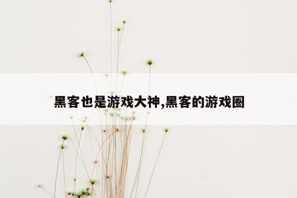 黑客也是游戏大神,黑客的游戏圈