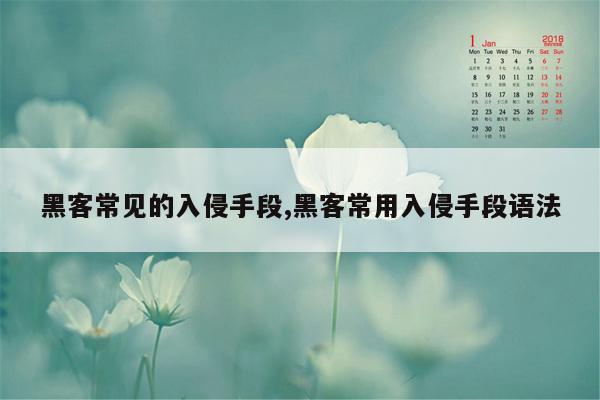 黑客常见的入侵手段,黑客常用入侵手段语法