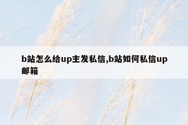 b站怎么给up主发私信,b站如何私信up邮箱