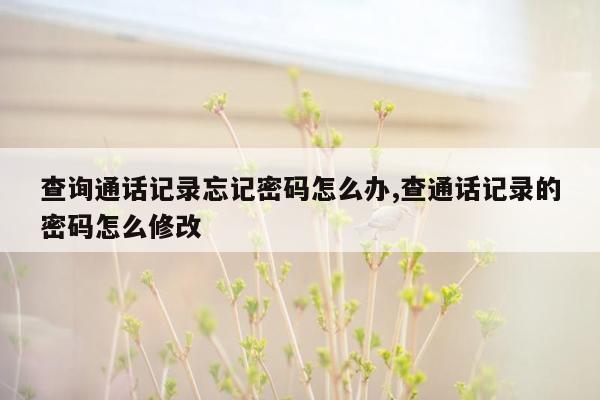 查询通话记录忘记密码怎么办,查通话记录的密码怎么修改