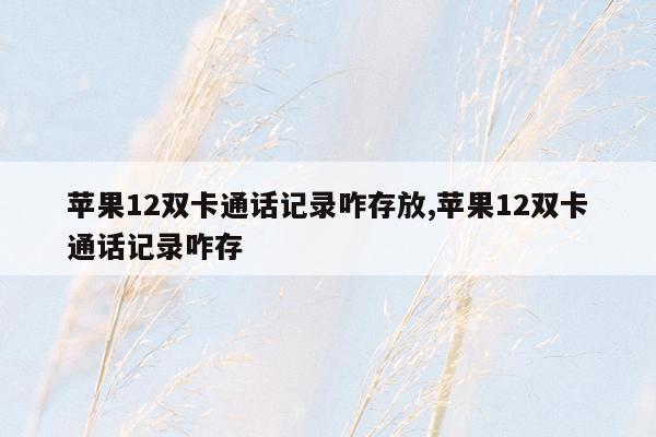 苹果12双卡通话记录咋存放,苹果12双卡通话记录咋存