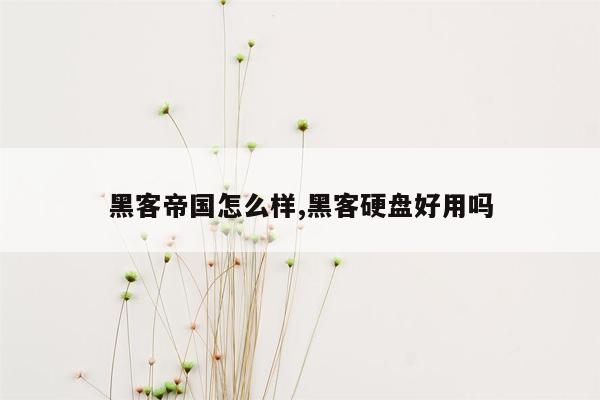 黑客帝国怎么样,黑客硬盘好用吗