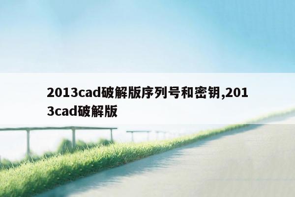 2013cad破解版序列号和密钥,2013cad破解版