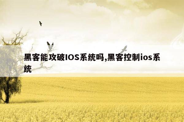 黑客能攻破IOS系统吗,黑客控制ios系统