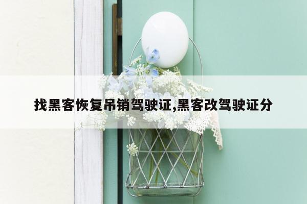 找黑客恢复吊销驾驶证,黑客改驾驶证分