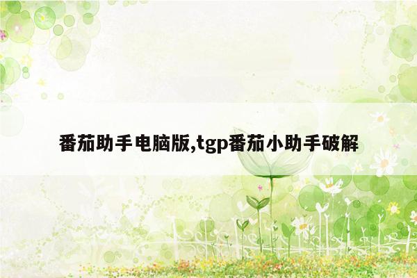 番茄助手电脑版,tgp番茄小助手破解