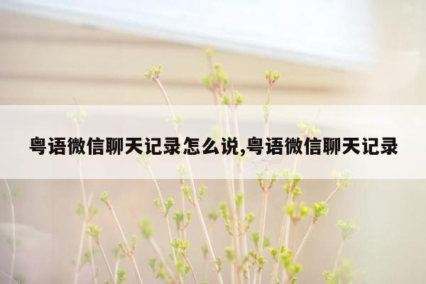 粤语微信聊天记录怎么说,粤语微信聊天记录