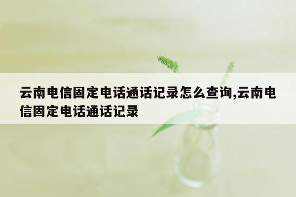 云南电信固定电话通话记录怎么查询,云南电信固定电话通话记录