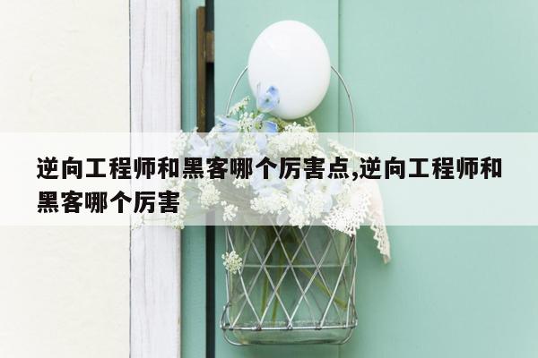 逆向工程师和黑客哪个厉害点,逆向工程师和黑客哪个厉害