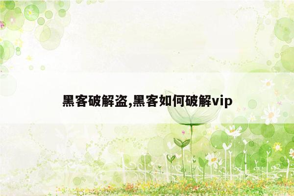 黑客破解盗,黑客如何破解vip