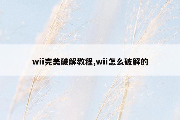 wii完美破解教程,wii怎么破解的