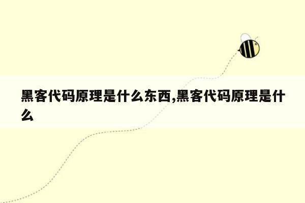 黑客代码原理是什么东西,黑客代码原理是什么