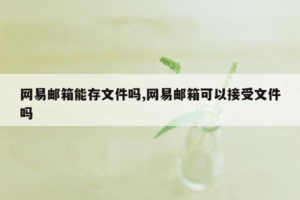 网易邮箱能存文件吗,网易邮箱可以接受文件吗