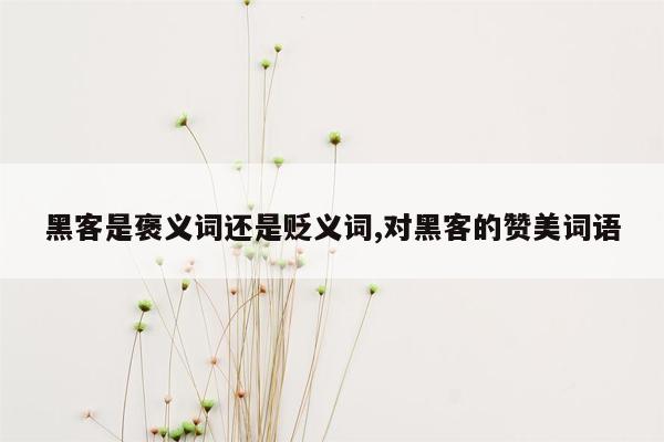 黑客是褒义词还是贬义词,对黑客的赞美词语