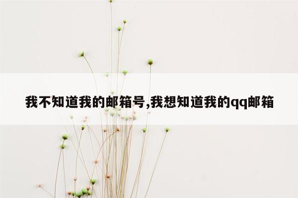 我不知道我的邮箱号,我想知道我的qq邮箱