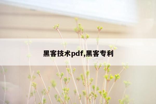 黑客技术pdf,黑客专利