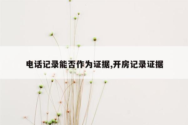 电话记录能否作为证据,开房记录证据