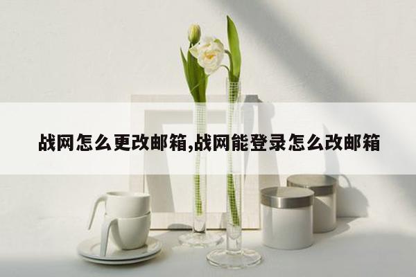 战网怎么更改邮箱,战网能登录怎么改邮箱