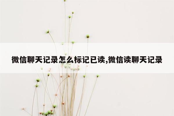 微信聊天记录怎么标记已读,微信读聊天记录