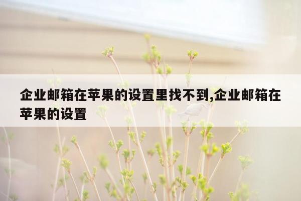 企业邮箱在苹果的设置里找不到,企业邮箱在苹果的设置