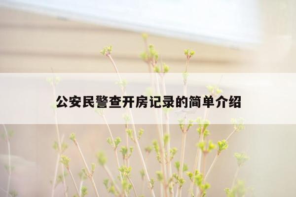 公安民警查开房记录的简单介绍