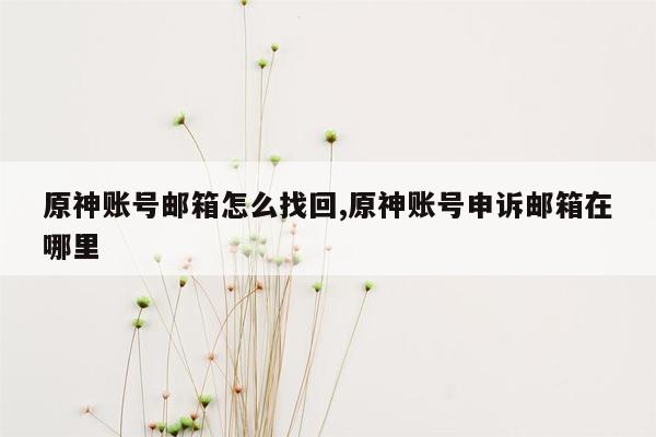 原神账号邮箱怎么找回,原神账号申诉邮箱在哪里