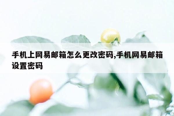 手机上网易邮箱怎么更改密码,手机网易邮箱设置密码