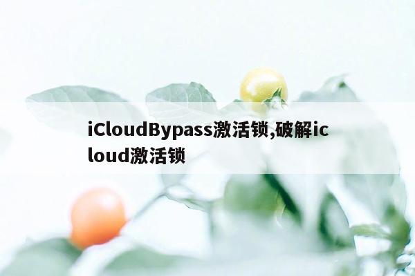 iCloudBypass激活锁,破解icloud激活锁